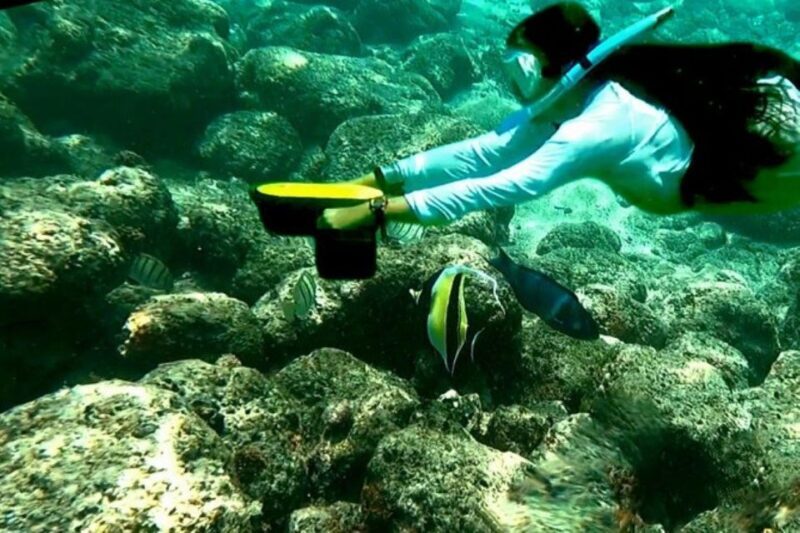Princeville: Selfguided Sea Scooter Experience - The Sum Up