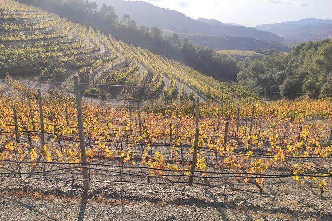 PRIORAT MEDIEVAL PRIORAT Full Day Tour Siurana and Escala Dei - Wine Tasting at Scala Dei Winery