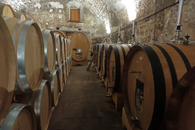 PRIORAT MEDIEVAL PRIORAT Full Day Tour Siurana and Escala Dei - The Only Caveat