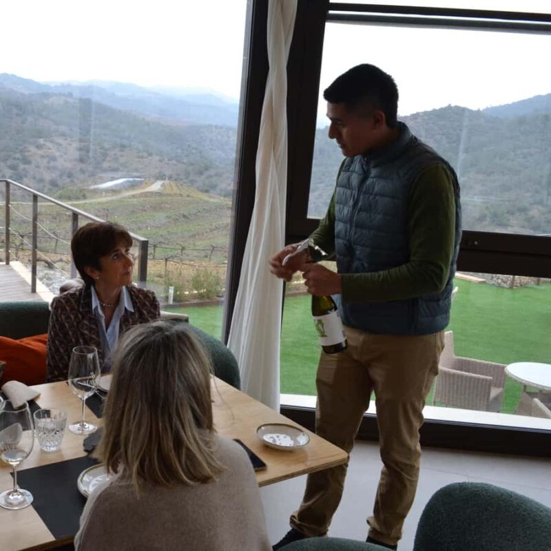 Priorat: Natural Wine Tour in Gratallops - Exploring the Itinerary: What You Can Expect