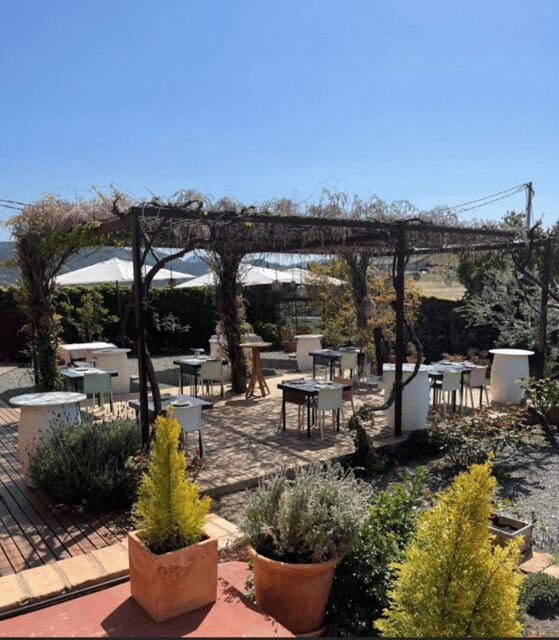 Priorat tour to 3 small wineries and hotel pick-up - Practical Details and What to Expect