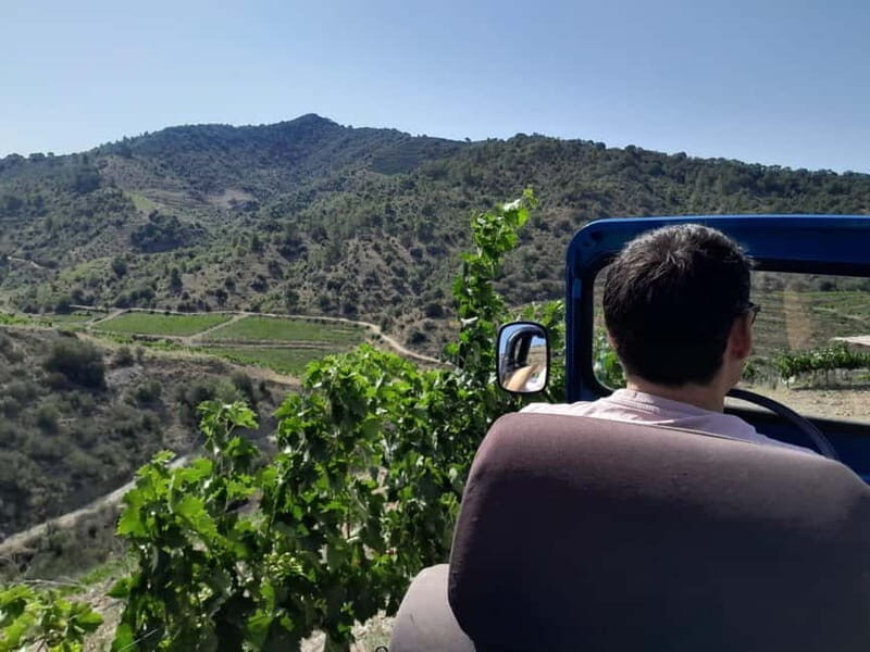 Priorat tour to 3 small wineries and hotel pick-up - Final Thoughts: Is This Tour Right for You?