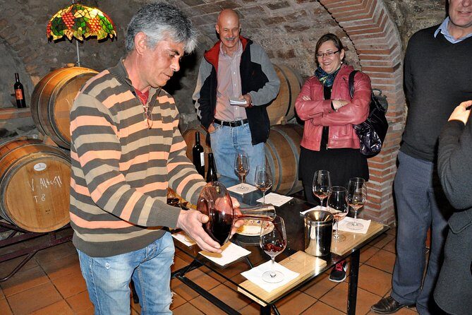 Priorat Wineries Tour with Wine Tastings & Lunch from Barcelona - A Deep Dive into the Priorat Wineries Tour