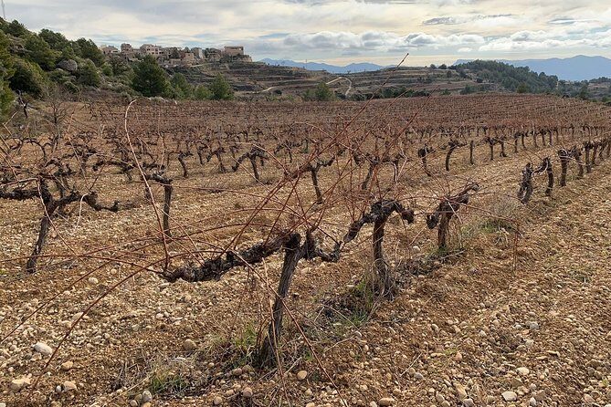 Priorat Wineries Tour with Wine Tastings & Lunch from Barcelona - In Summary