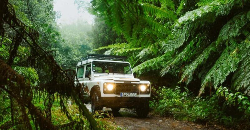 Priv. East: 4x4 Tour|Pico do Areeiro|Santana Typical Houses| - Key Points