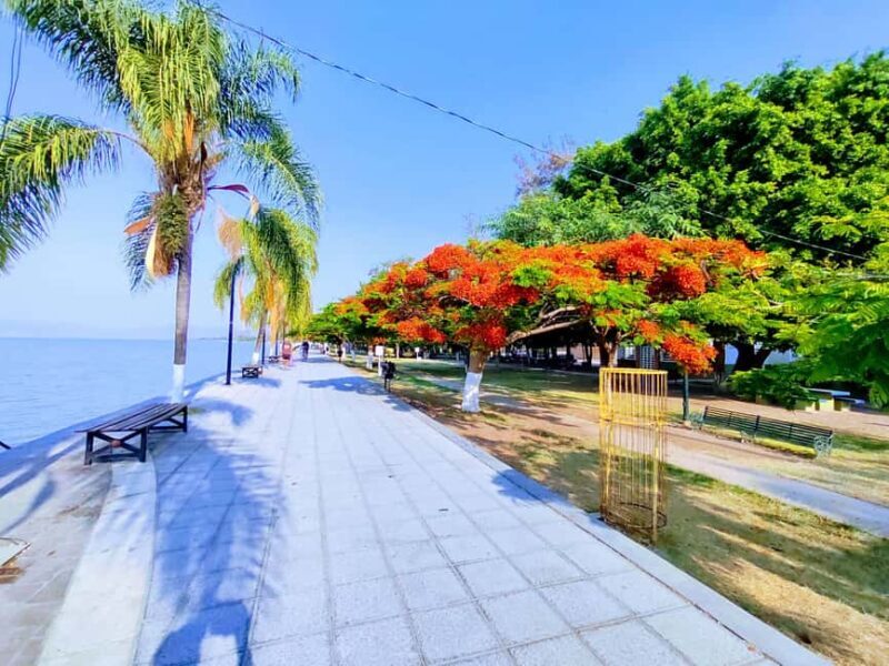 Privado: Rancho Vicente Fdez, Ajijic, Chapala y Tlaquepaque - Who Would Love This Tour?