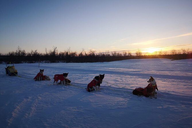Privat sled trip with husky in the alta valley - FAQ