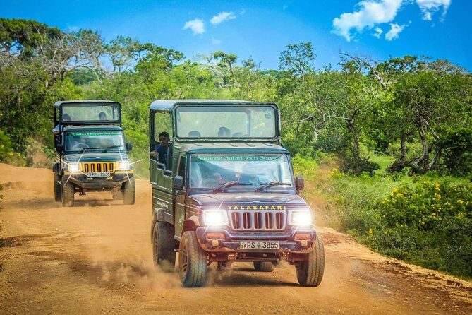 Private 02 Day Leopard Safari in Yala from Colombo - Experience Breakdown: What You Can Expect