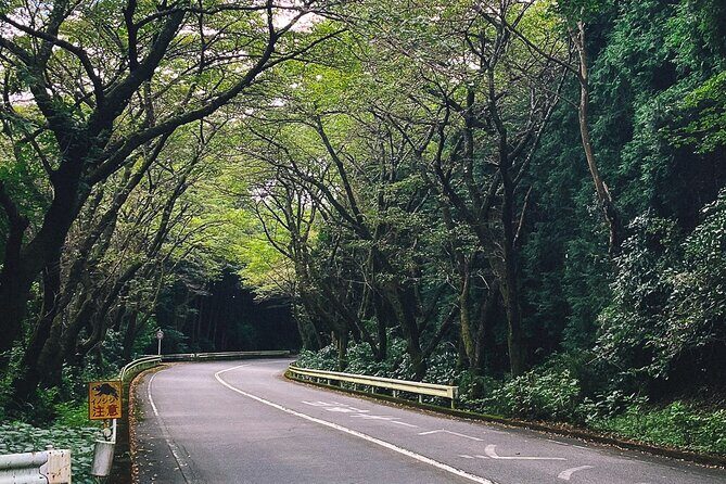 Private 1 Day JDM/Sports Car Tour to Mt Fuji, Hakone, and Onsen - A Closer Look at the Itinerary and Highlights