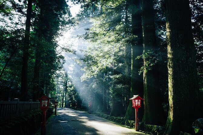 Private 1 Day JDM/Sports Car Tour to Mt Fuji, Hakone, and Onsen - Who Would Love This Tour?