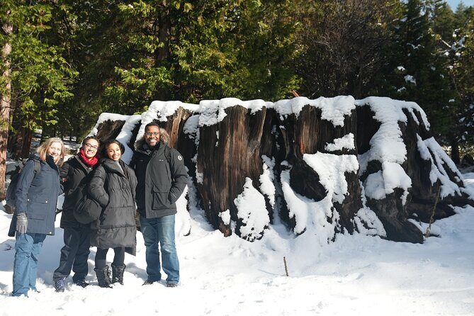 Private 1-Day Sequoia and Kings Canyon Park Tour from Los Angeles - A Deep Dive into the Itinerary