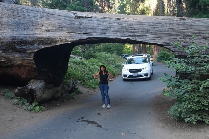 Private 1-Day Sequoia and Kings Canyon Park Tour from Los Angeles - FAQ