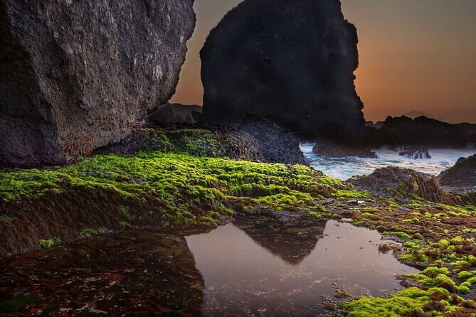 Private 1 Day Tour to Kamakura: Sea, Temples, and Coastal Scenery - The Cost and Who It’s Best For
