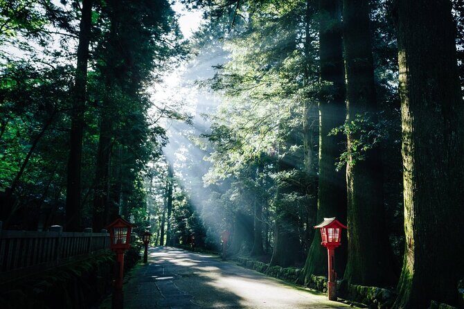 Private 1 Day Tour to Mt Fuji and Hakone: Onsen, Arts and Nature - The Sum Up