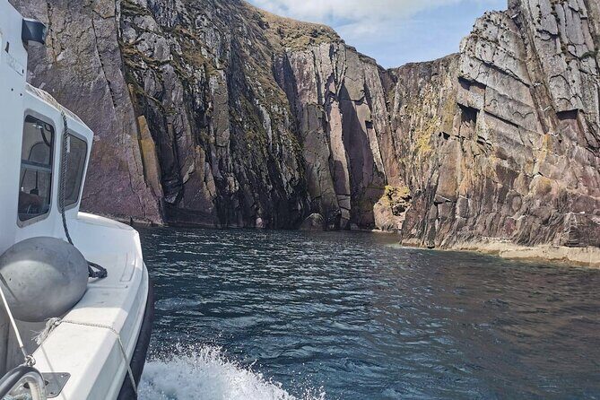 Private 1-Hour Guided Boat Tour in Dingle Peninsula - Practical Considerations & Tips