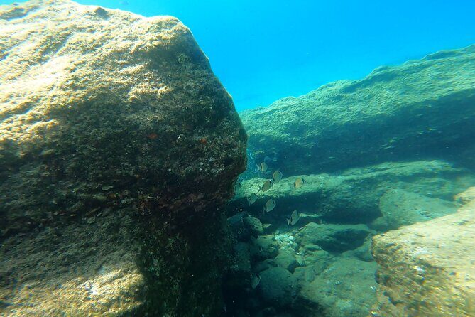 Private 1-Hour Guided Snorkeling Adventure with Go Pro Pictures - Exploring the Experience in Detail