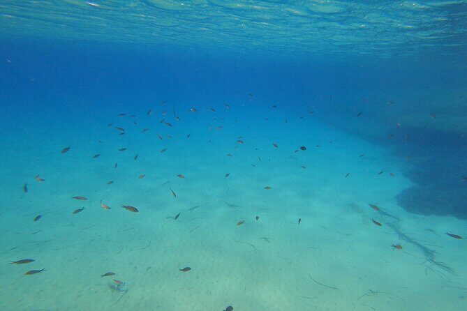 Private 1-Hour Guided Snorkeling Adventure with Go Pro Pictures - Who Will Benefit From This Tour?