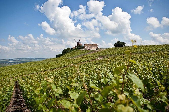 Private 10-hour round transfer to Champagne Epernay from Paris. Best offer! - A Detailed Look at the Champagne Day Trip