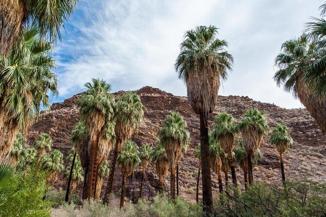 Private 10-hour tour to Palm Springs from Los Angeles - Hotel pick up - What to Expect from the Palm Springs Private Tour