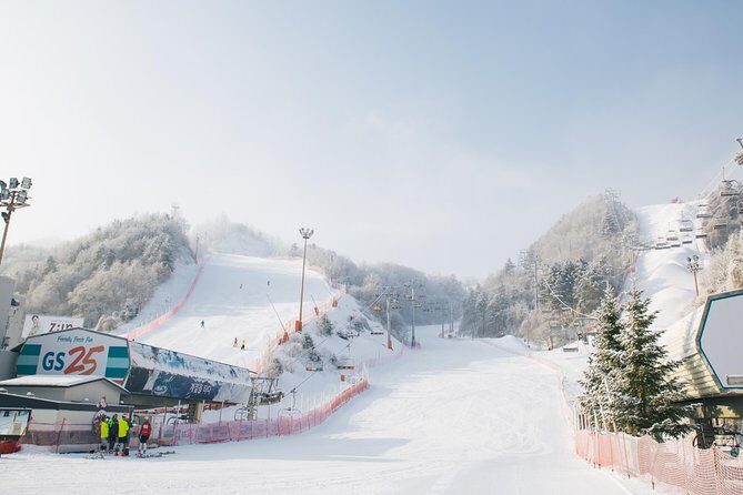 Private 1:1 Ski Lesson near Seoul, South Korea - Who Should Consider This Tour?