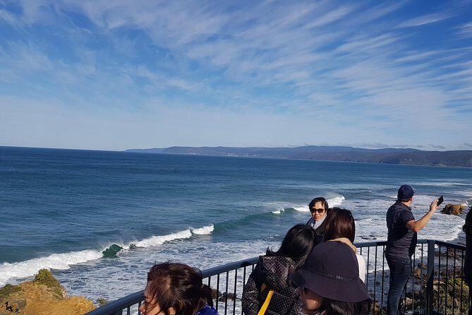 Private 12 Apostles Express Tour - Shorter - Introduction: Why Choose This Tour?