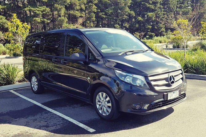 Private 12 Apostles Express Tour - Shorter - The Transportation Experience