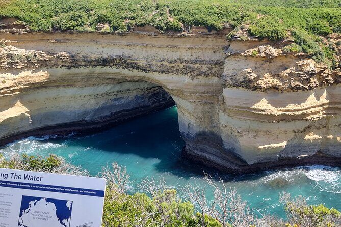 Private 12 Apostles Express Tour - Shorter - Pricing and Value