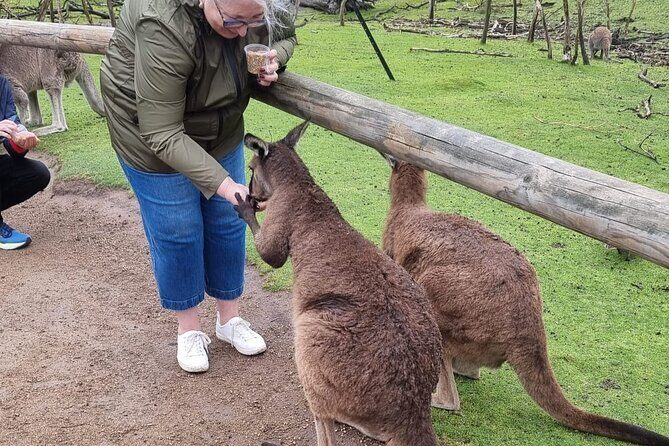 Private 12 Apostles Express Tour - Shorter - Final Thoughts: Is This Tour Right for You?