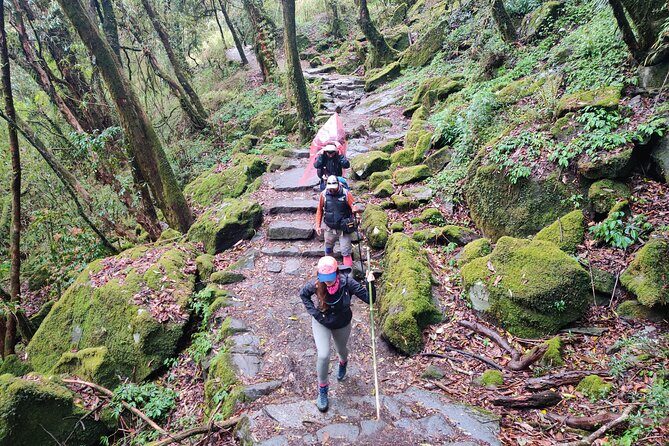 Private 12-Day All Inclusive Guided Annapurna Base Camp Trek Tour - Final Thoughts: Who Is This Trek Perfect For?