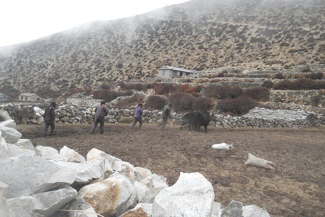 Private 12 - Day Everest Base Camp Trekking - Who Is This Tour Best For?