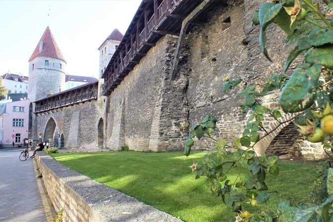 Private 2.5-Hour Tour of Tallinn Old Town in a Spacious Mercedes Minivan - The Experience in Detail