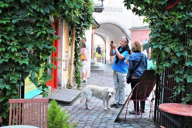 Private 2.5-Hour Tour of Tallinn Old Town in a Spacious Mercedes Minivan - An Authentic, Cost-Effective Way to Discover Tallinn