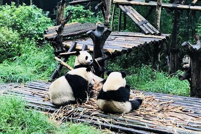 Private 2-Day Chengdu Discovery with Hotel Accommodation - Key Points