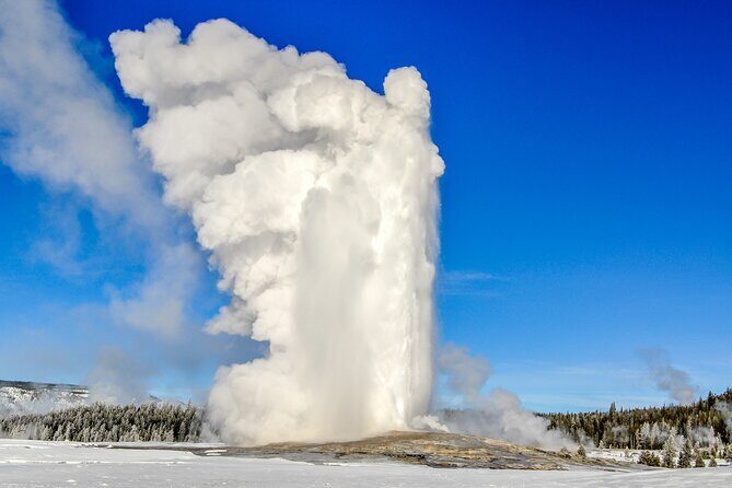 Private 2-Day Yellowstone Tour - Upper and Lower Loop - Why Choose a Private Tour?