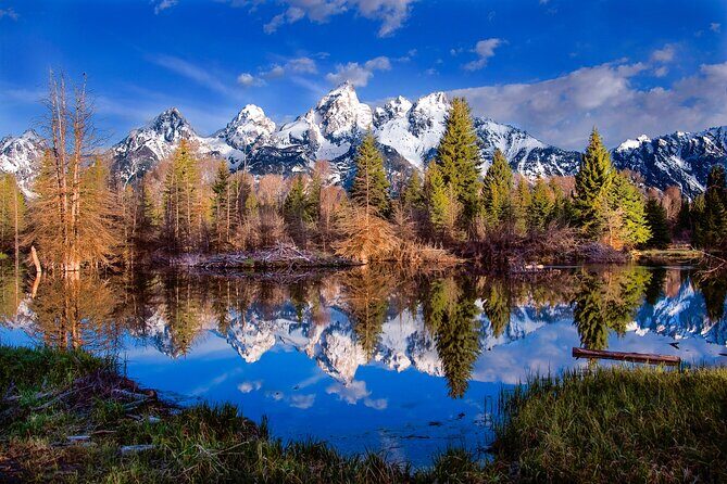 Private 2-Day Yellowstone Tour - Upper and Lower Loop - Cost and Value