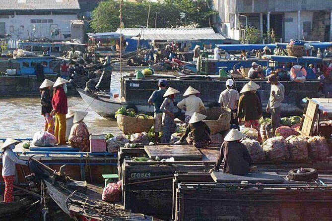 Private 2 Days 1 Night Sai Gon - Sa Dec - An Binh - Can Tho - Transport, Timing, and Overall Value