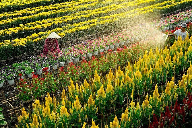 Private 2 Days 1 Night Sai Gon - Sa Dec - An Binh - Can Tho - Who Will Appreciate This Tour?