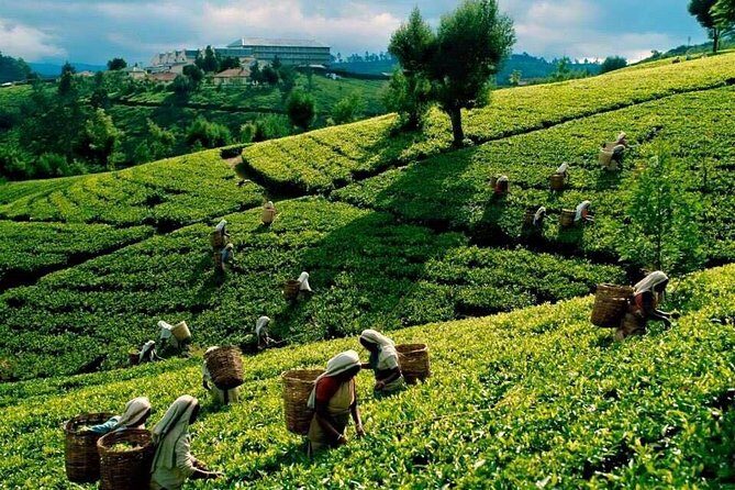 Private 2 Days Trip to Misty Mountains Tour - Practical Tips and Considerations