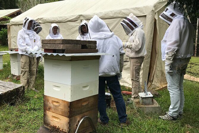 Private 2-Hour Beekeeping Classroom Tour in Honokaa - A Closer Look at the Beekeeping Classroom Tour