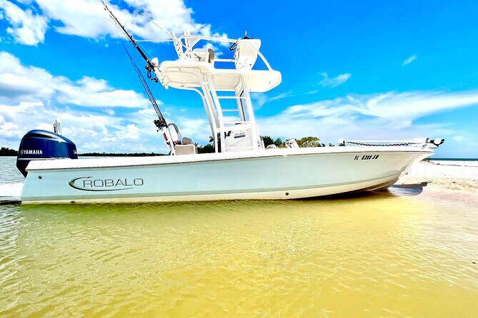 Private 2 Hour Dolphin & Eco Tour Marco Island, FL - Key Points