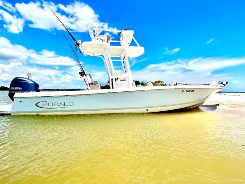 Private 2 Hour Dolphin & Eco Tour Marco Island, FL - Key Points