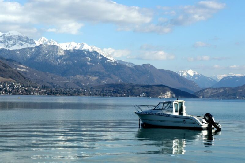 Private 2-hour Walking Tour of Annecy with official guide - Who Should Book This Tour?