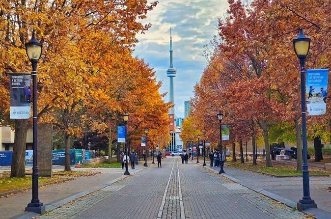 Private 2 Hours Photoshoot with a Pro Photographer in Toronto - Who Will Love This Tour?