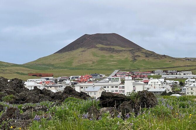 PRIVATE 2-Hours Tour - Westman Islands with a local in a BMW X5 - FAQ