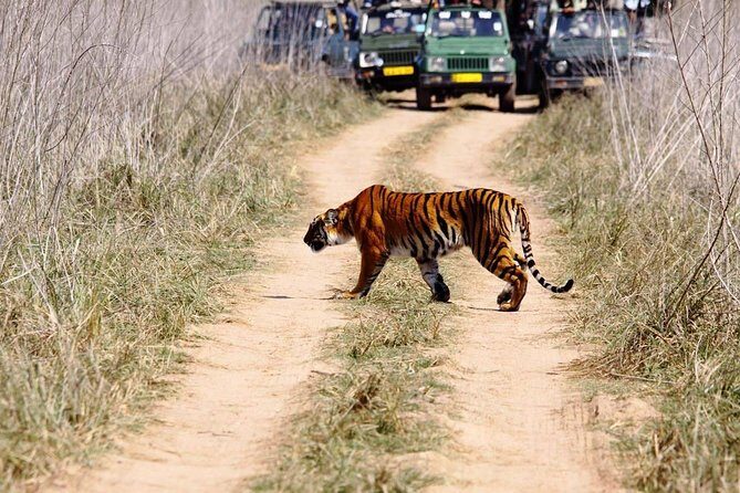 Private 2 Nights Short Escape To Jim Corbett - From Delhi to the Heart of the Forest: The Journey Begins