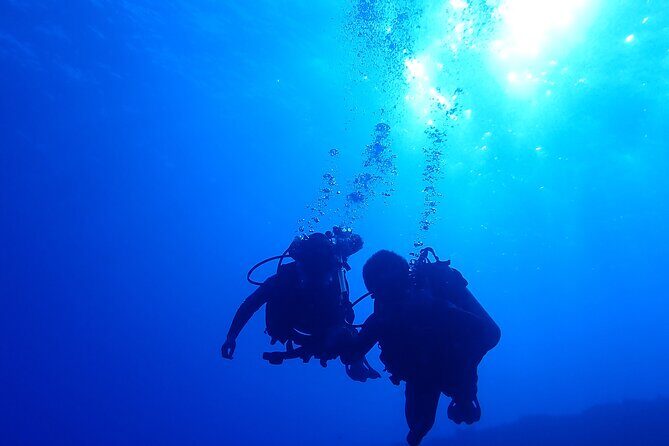 Private 2 Tank Dive at Molokini Crater Certified Divers Only - The Second Dive & Additional Highlights