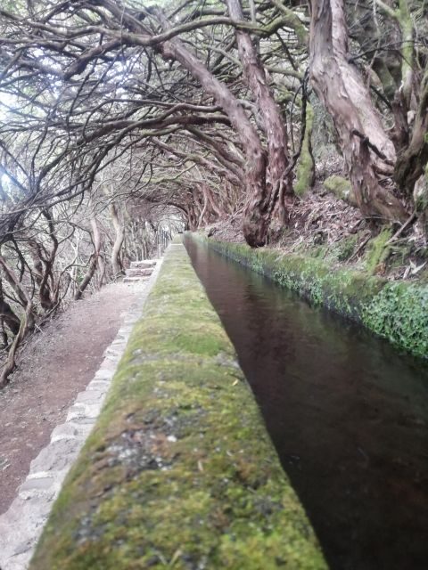 Private - 25 Fontes and Risco Waterfall Guided Tour - Introduction