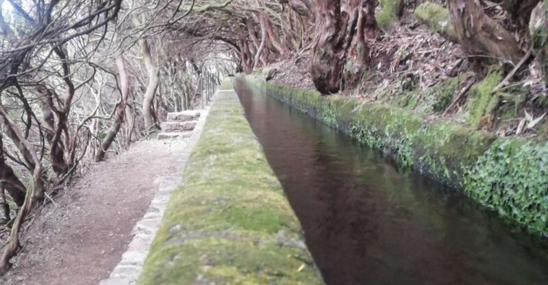 Private - 25 Fontes and Risco Waterfall Guided Tour - Practical Details and Considerations