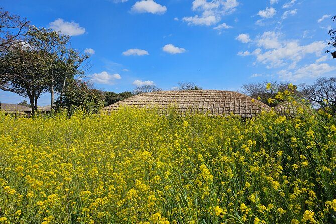 Private 2Days Tour a lot of Experience Driver in jeju island - Who Will Love This Tour?