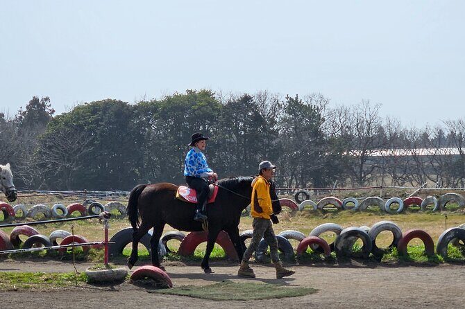 Private 2Days Tour a lot of Experience Driver in jeju island - FAQ